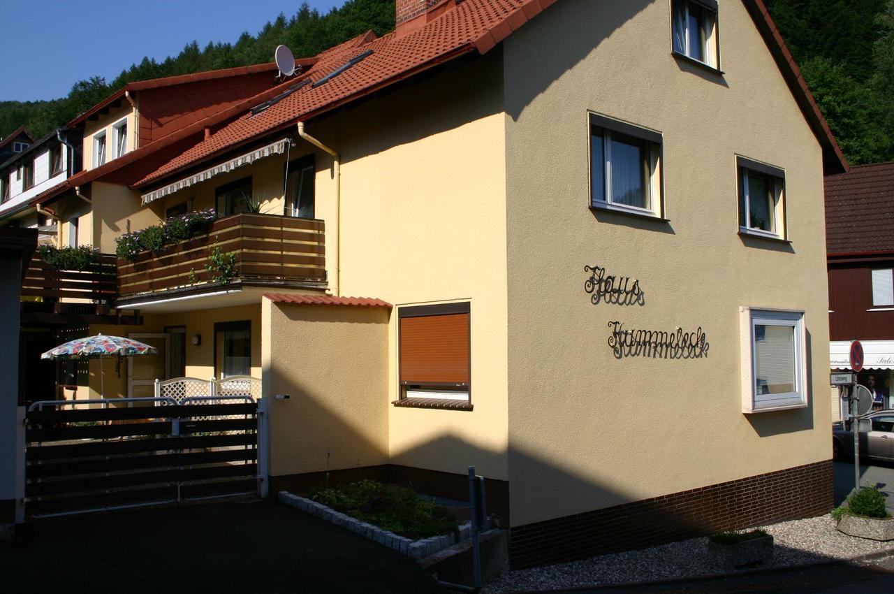 Haus-Kummeleck-Wohnung-3 Bad Lauterberg Ngoại thất bức ảnh